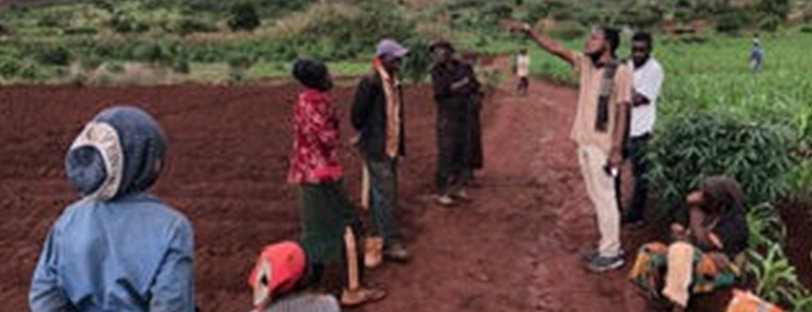 Tubwe : Pepper Land