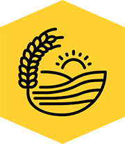 Rural Development