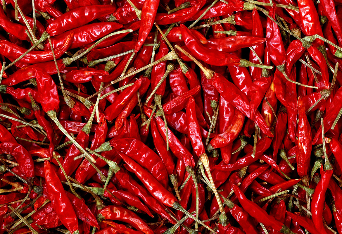 Pepper